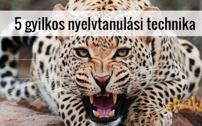5 gyilkos nyelvtanulási technika, amivel átlagos nyelvtanulóból profi nyelvhasználó lehetsz – Speak! angol nyelviskola