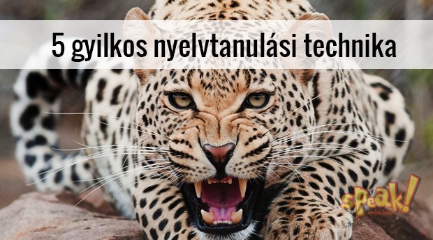 5 gyilkos nyelvtanulási technika, amivel átlagos nyelvtanulóból profi nyelvhasználó lehetsz – Speak! angol nyelviskola