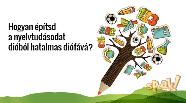 Hogyan építsd a nyelvtudásodat dióból hatalmas diófává? – Speak! Angol Nyelviskola