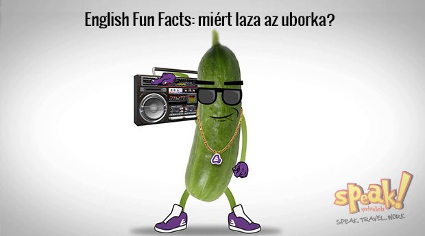 English Fun Facts: miért laza az uborka?