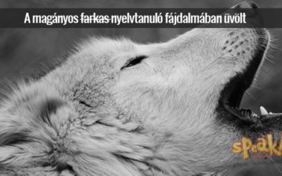 A magányos nyelvtanuló fájdalmában üvölt
