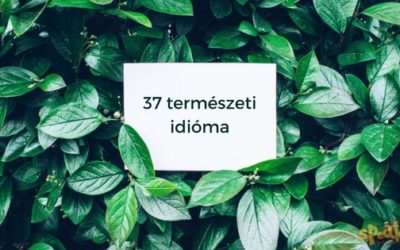 Beszélj természetesen angolul