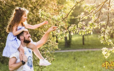 Készülj a tavaszra ezzel a 6 fás angol idiómával – Speak! Nyelviskola