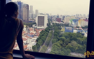 Tanmese az angoltanulóról, aki léggyé változott – Speak! Nyelviskola Budapest