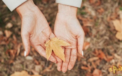 7 őszi angol idióma, amikkel szókincsed olyan színes lesz, mint a hulló falevelek