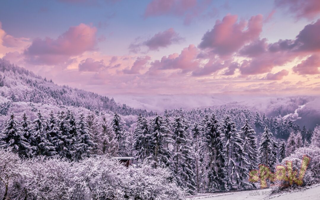 Téli szavak angolul – 15 hasznos angol szó és kifejezés kezdőtől a haladóig